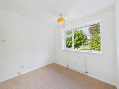 Picture 13